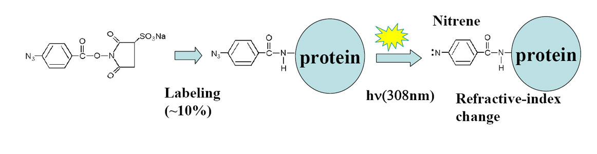 HSAB_reaction