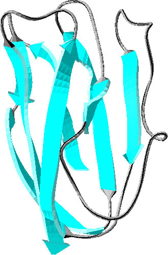 apoPc