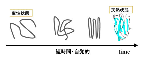 folding