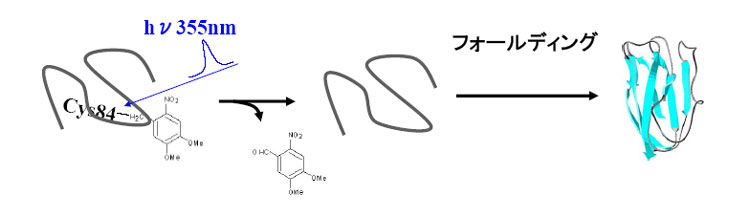 photodissociation