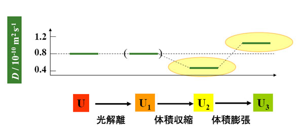 result_apoPc_D