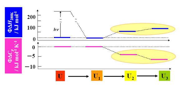result_apoPc_dH_dCp