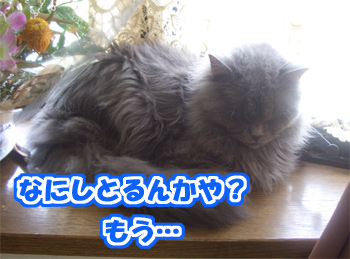 なにを… なにを…