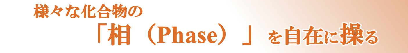 説明文をここに入れる