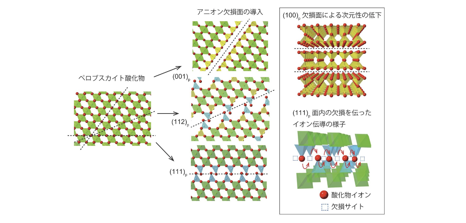 説明文をここに入れる